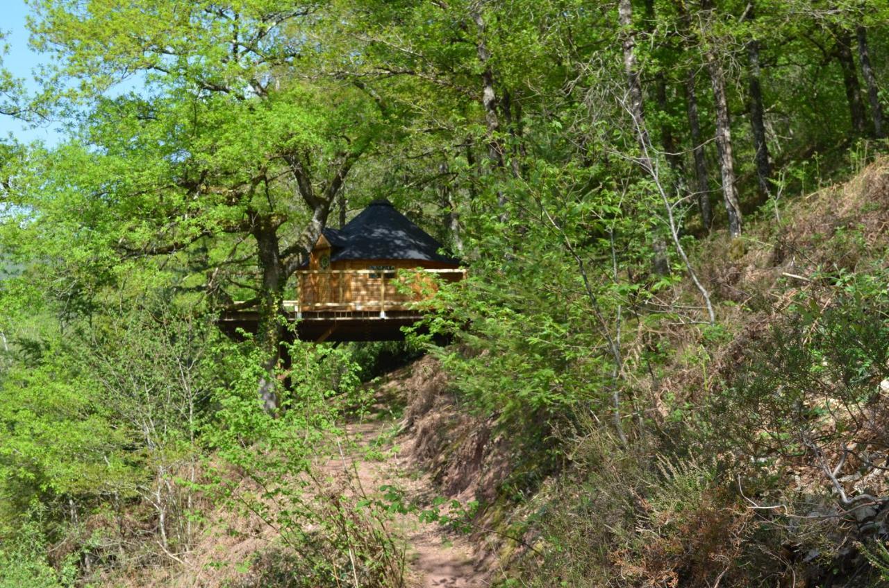 Ma Cabane En Aveyron Conques-en-Rouergue Luaran gambar
