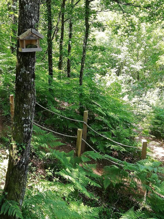 Ma Cabane En Aveyron Conques-en-Rouergue Luaran gambar